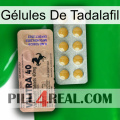 Gélules De Tadalafil 41